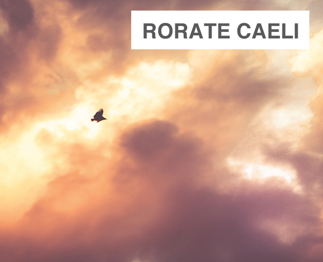 Rorate Caeli | Rorate Caeli| MusicSpoke