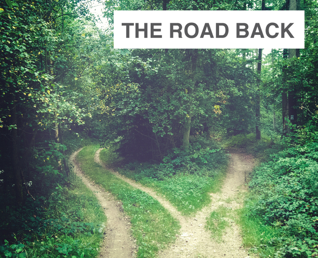 The Road Back | The Road Back| MusicSpoke