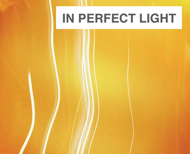 In Perfect Light | In Perfect Light| MusicSpoke