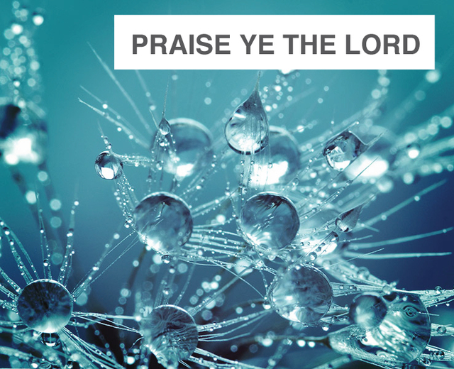Psalm 150:  Praise ye the Lord | Psalm 150:  Praise ye the Lord| MusicSpoke