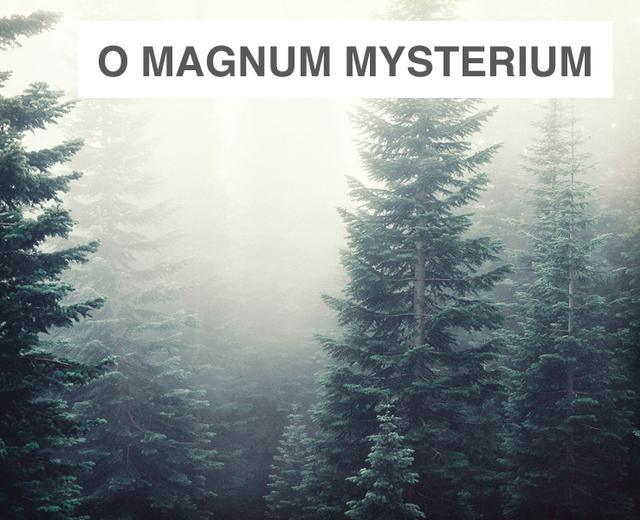  O Magnum Mysterium |  O Magnum Mysterium| MusicSpoke