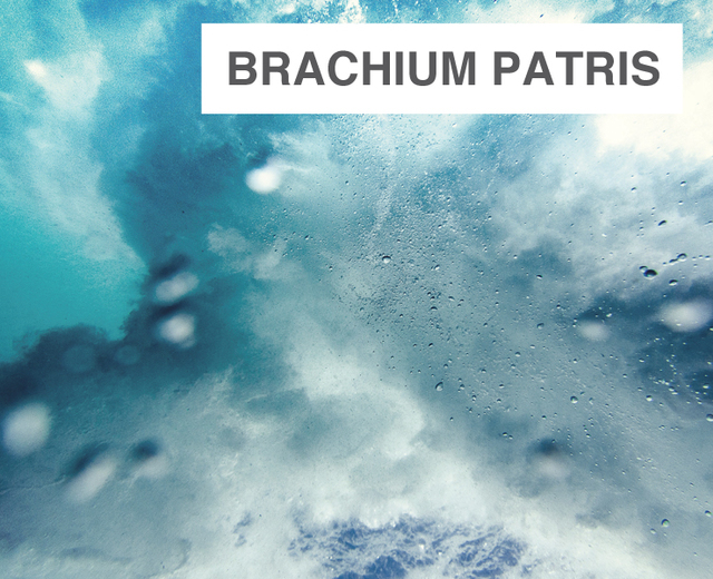 Brachium Patris | Brachium Patris| MusicSpoke