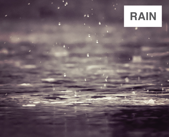 Rain | Rain| MusicSpoke