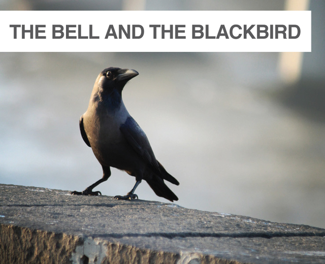 The Bell and the Blackbird | The Bell and the Blackbird| MusicSpoke