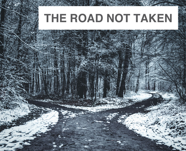 The Road Not Taken | The Road Not Taken| MusicSpoke