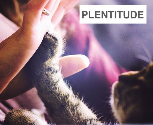 Plentitude | Plentitude| MusicSpoke