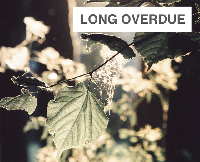Long Overdue | Long Overdue| MusicSpoke