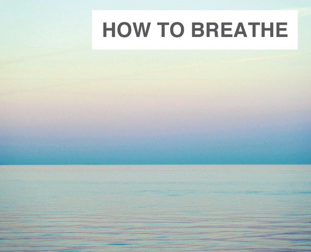 How to Breathe | How to Breathe| MusicSpoke