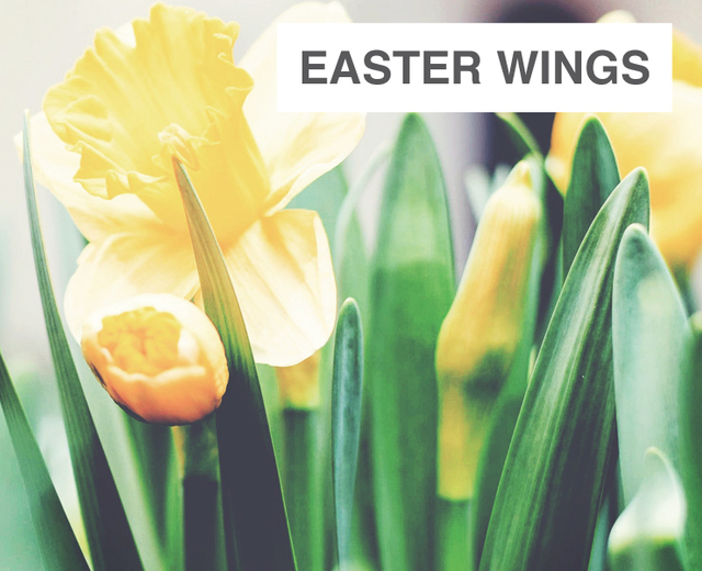 Easter Wings | Easter Wings| MusicSpoke
