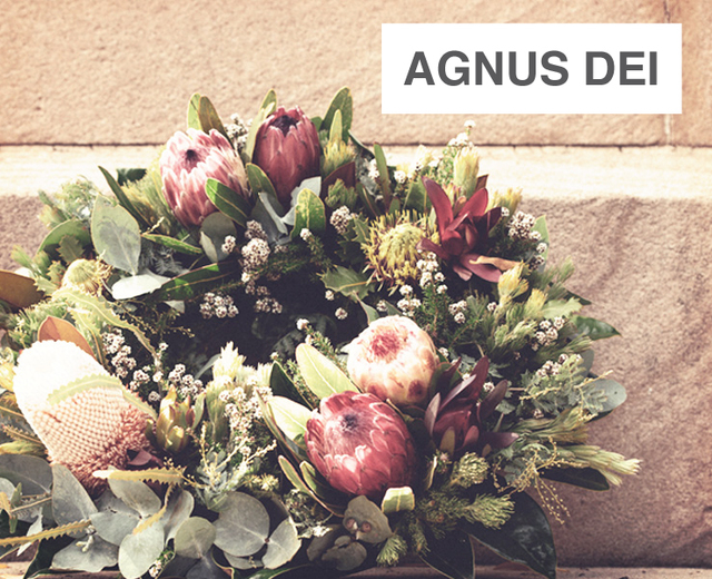 Agnus Dei | Agnus Dei| MusicSpoke