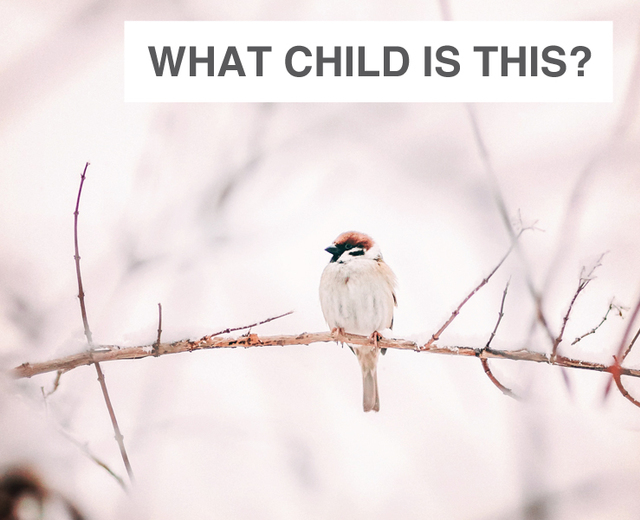 What Child is This? | What Child is This?| MusicSpoke