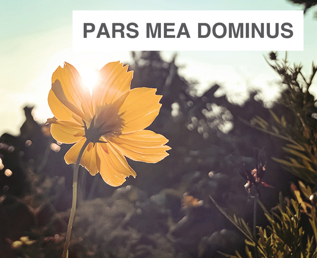 Pars mea Dominus | Pars mea Dominus| MusicSpoke