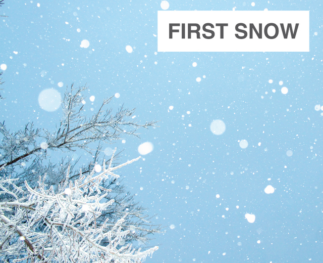 First snow | First snow| MusicSpoke
