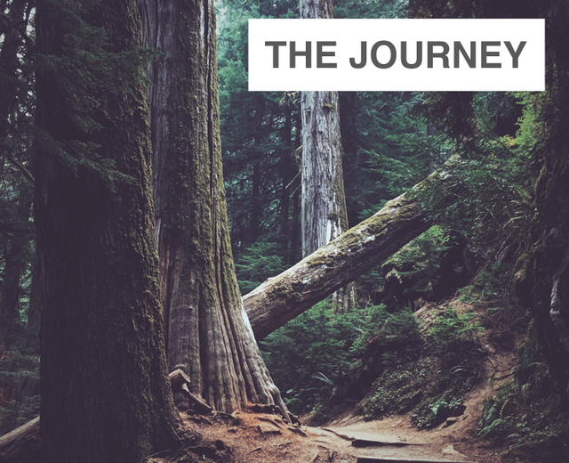 The Journey | The Journey| MusicSpoke