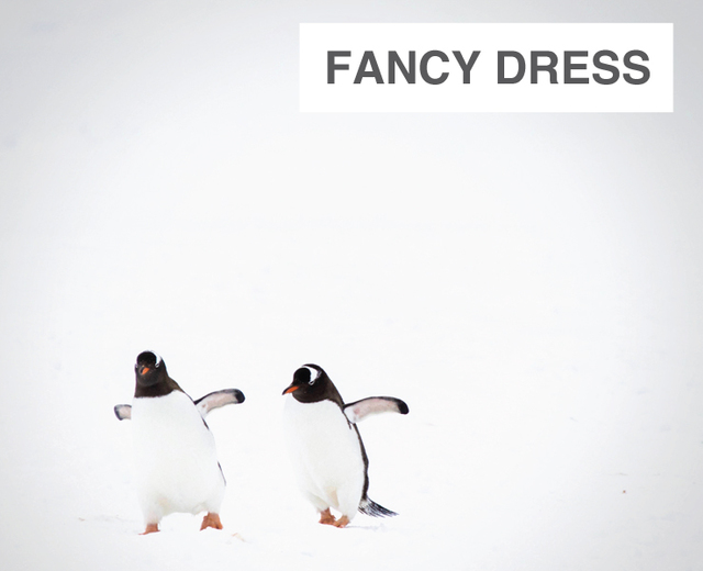 Fancy Dress | Fancy Dress| MusicSpoke