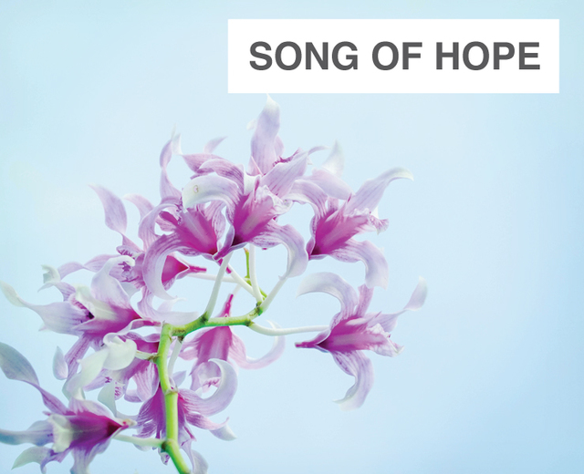 Song of Hope | Song of Hope| MusicSpoke
