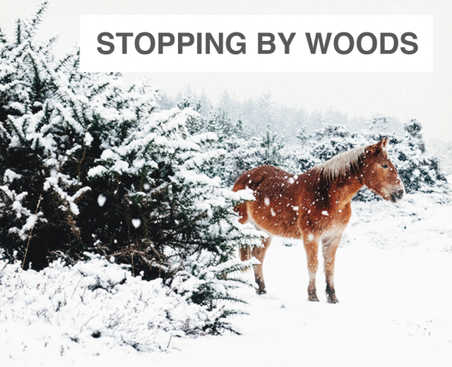 Stopping by Woods on a Snowy Evening | Stopping by Woods on a Snowy Evening| MusicSpoke