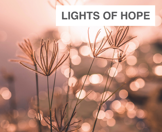 Lights of Hope | Lights of Hope| MusicSpoke