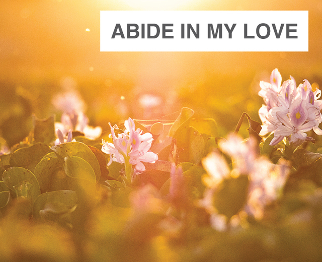 Abide in my Love | Abide in my Love| MusicSpoke