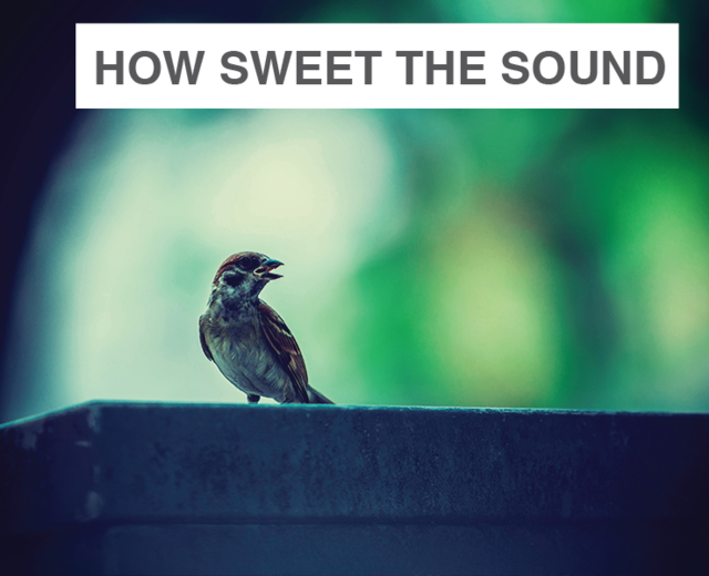 How Sweet the Sound | How Sweet the Sound| MusicSpoke