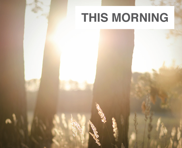 This Morning | This Morning| MusicSpoke