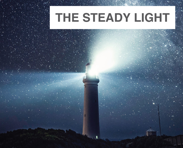 The Steady Light | The Steady Light| MusicSpoke