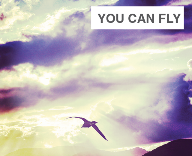 You Can Fly | You Can Fly| MusicSpoke