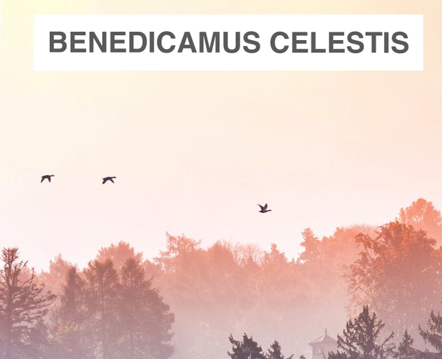 Benedicamus Celestis | Benedicamus Celestis| MusicSpoke