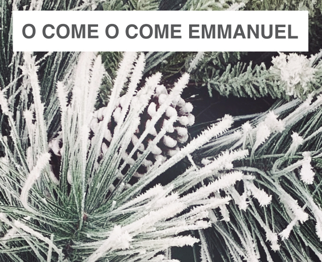 O Come O Come Emmanuel | O Come O Come Emmanuel| MusicSpoke