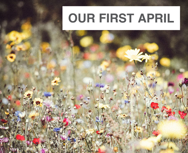 Our First April | Our First April| MusicSpoke