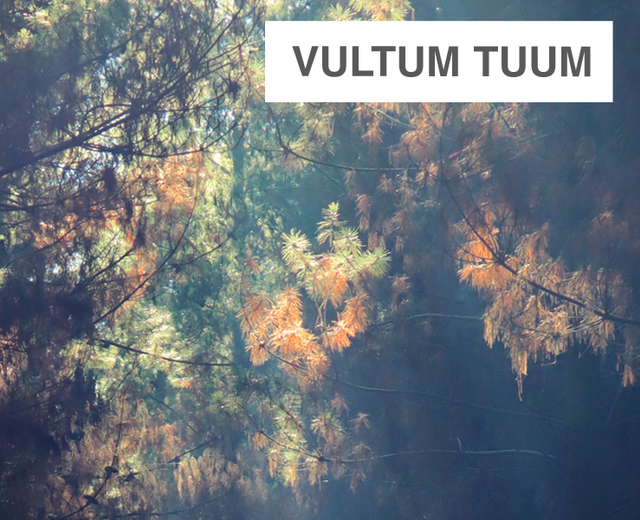 Vultum Tuum | Vultum Tuum| MusicSpoke