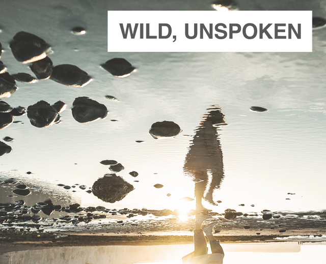 Wild, Unspoken | Wild, Unspoken| MusicSpoke