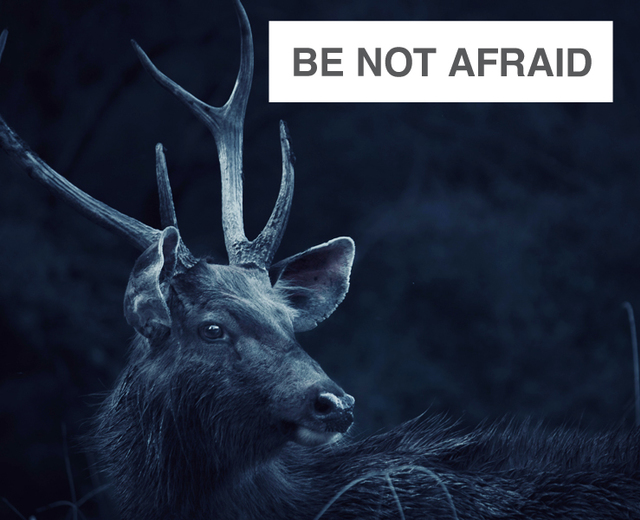 Be Not Afraid | Be Not Afraid| MusicSpoke