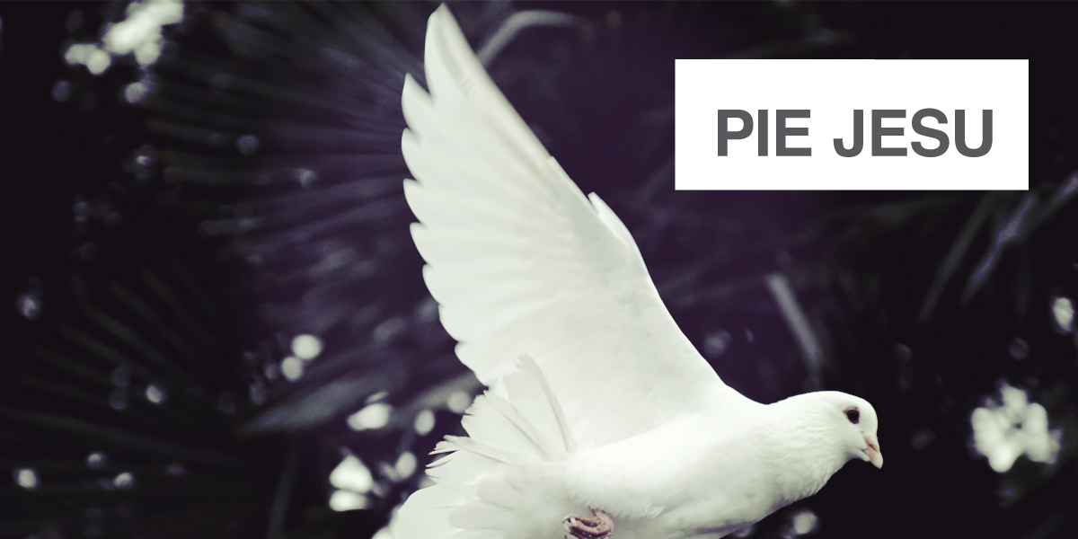 MusicSpoke | Artist Owned Sheet Music™ | Scores starting at $2