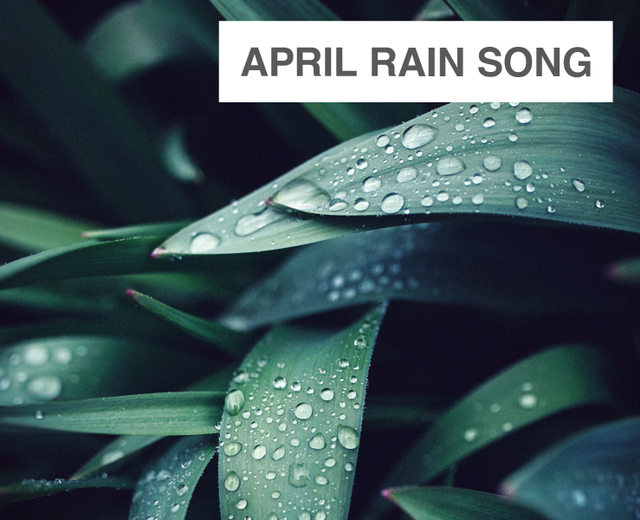 April Rain Song | April Rain Song| MusicSpoke