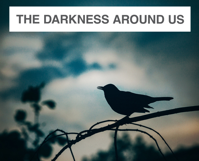 The Darkness Around Us | The Darkness Around Us| MusicSpoke