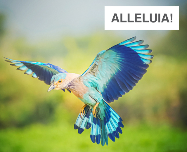 Alleluia! | Alleluia!| MusicSpoke