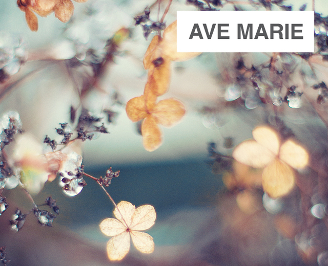 Ave Marie | Ave Marie| MusicSpoke