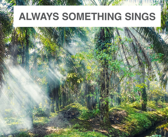 Always, Always Something Sings | Always, Always Something Sings| MusicSpoke