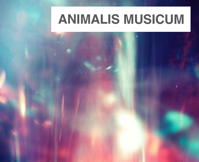 Animalis Musicum, Volume I.  | Animalis Musicum, Volume I. | MusicSpoke