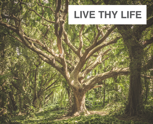 Live thy Life | Live thy Life| MusicSpoke