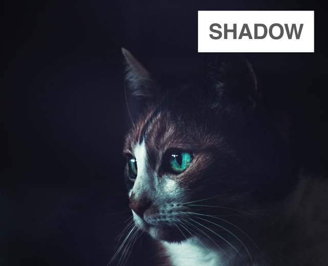 Shadow | Shadow| MusicSpoke