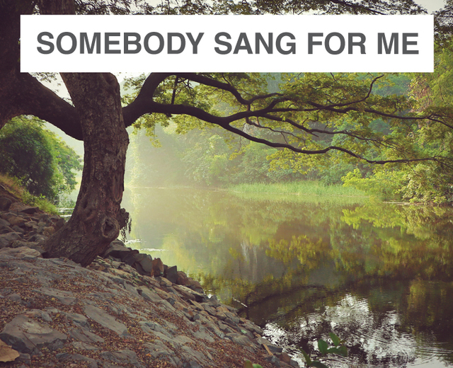 Somebody Sang for Me | Somebody Sang for Me| MusicSpoke