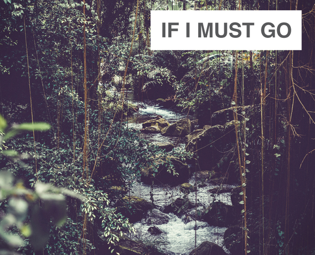 If I Must Go | If I Must Go| MusicSpoke