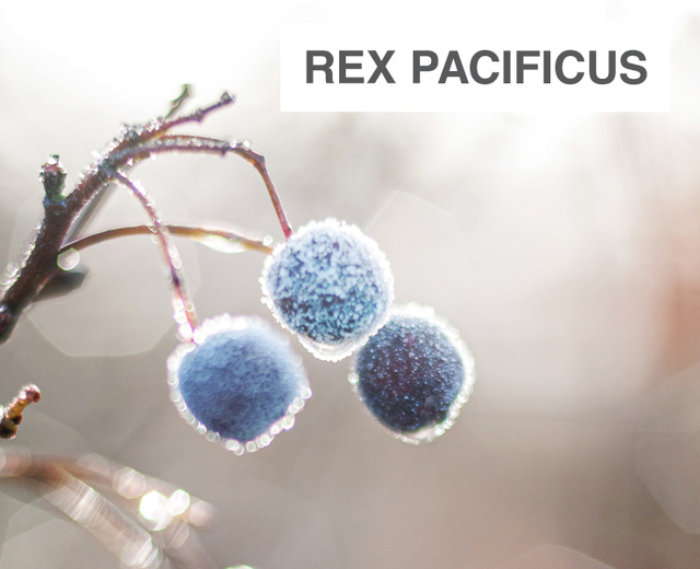 Rex Pacificus | Rex Pacificus| MusicSpoke