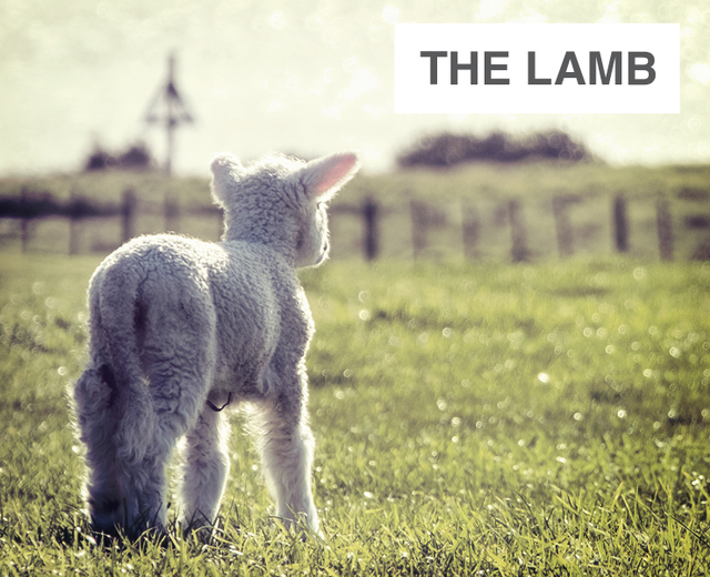 The Lamb | The Lamb| MusicSpoke