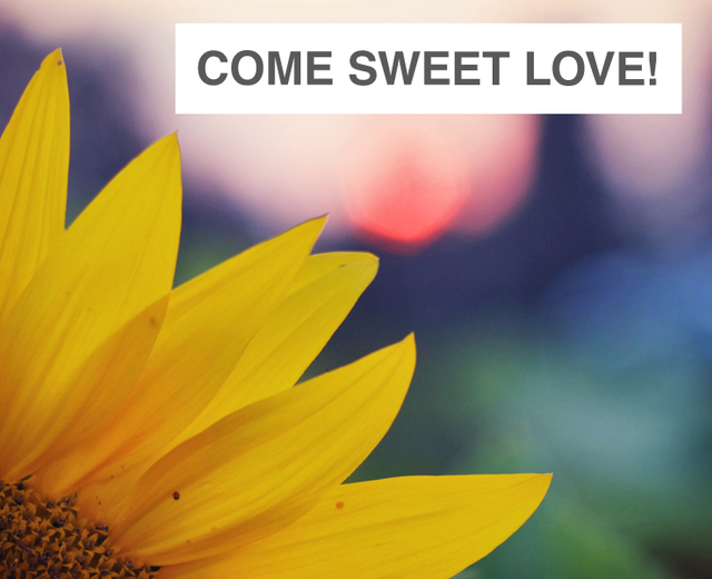Come Again, Come Sweet Love! | Come Again, Come Sweet Love!| MusicSpoke