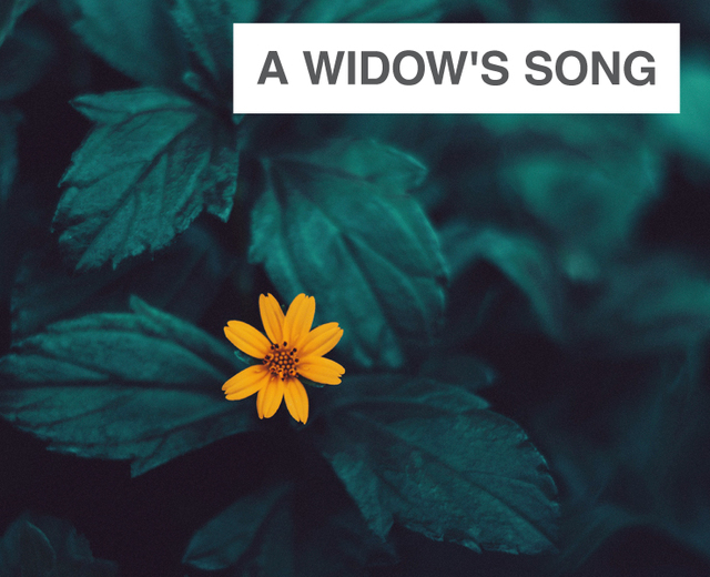 A Widow's Song | A Widow's Song| MusicSpoke