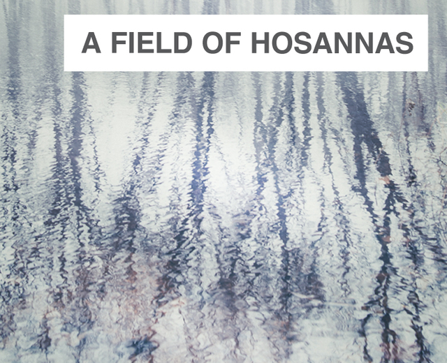 A Field of Hosannas | A Field of Hosannas| MusicSpoke