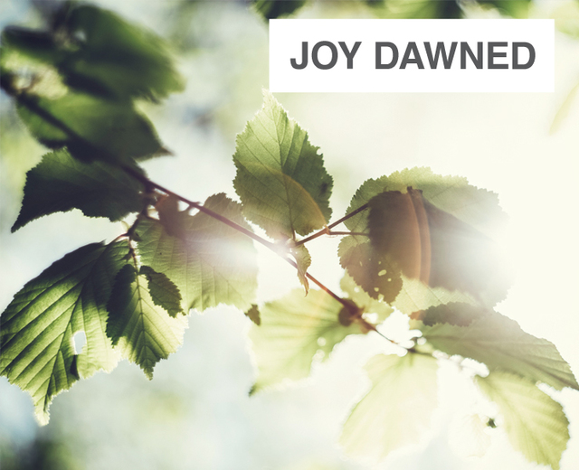 Joy Dawned Again on Easter Day | Joy Dawned Again on Easter Day| MusicSpoke
